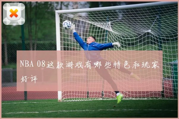 NBA 08这款游戏有哪些特色和玩家好评