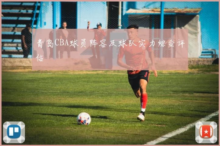 青岛CBA球员阵容及球队实力综合评估