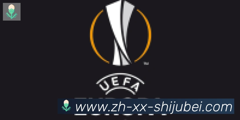 世界杯赛程表合作伙伴