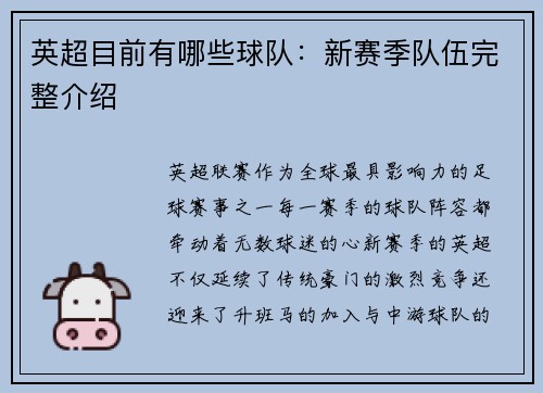 英超目前有哪些球队：新赛季队伍完整介绍